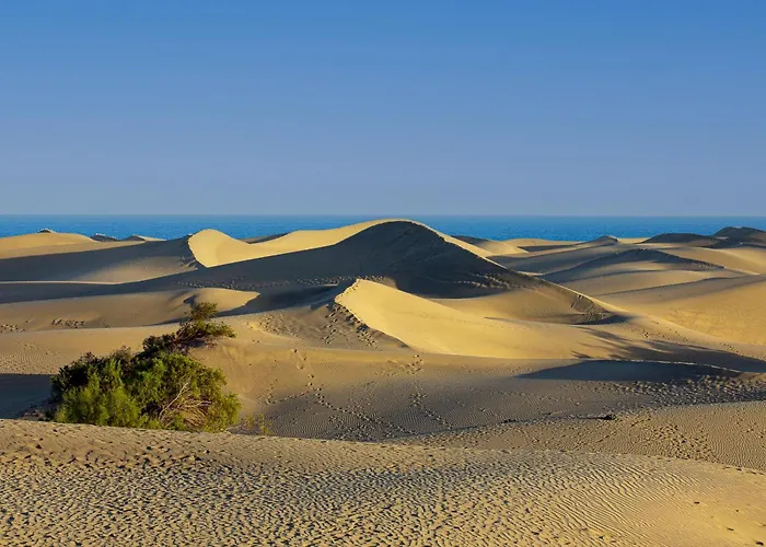 Mirador 30 Sea View By Pride